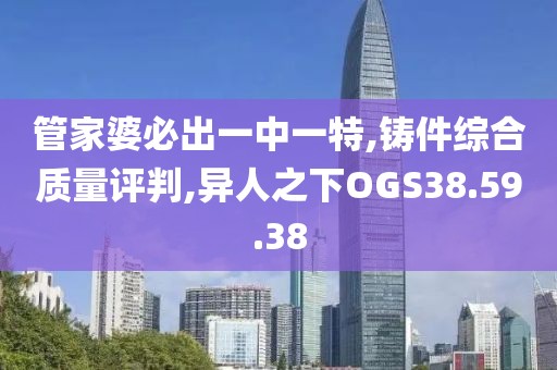 管家婆必出一中一特,铸件综合质量评判,异人之下OGS38.59.38