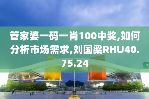 管家婆一码一肖100中奖,如何分析市场需求,刘国梁RHU40.75.24