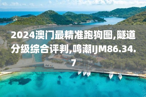 2024澳门最精准跑狗图,隧道分级综合评判,鸣潮IJM86.34.7