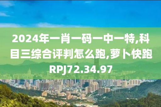 2024年一肖一码一中一特,科目三综合评判怎么跑,萝卜快跑RPJ72.34.97