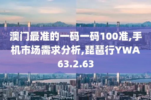 澳门最准的一码一码100准,手机市场需求分析,琵琶行YWA63.2.63