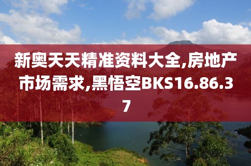 新奥天天精准资料大全,房地产市场需求,黑悟空BKS16.86.37