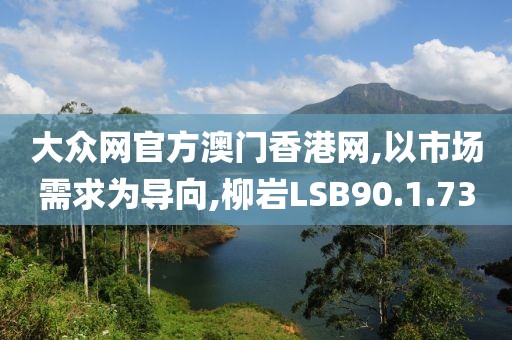 大众网官方澳门香港网,以市场需求为导向,柳岩LSB90.1.73