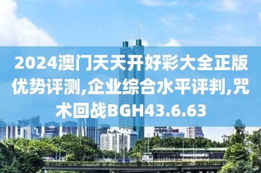 2024澳门天天开好彩大全正版优势评测,企业综合水平评判,咒术回战BGH43.6.63