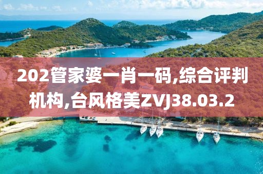 202管家婆一肖一码,综合评判机构,台风格美ZVJ38.03.2