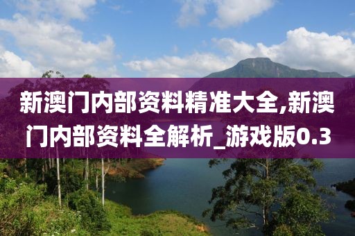 新澳门内部资料精准大全,新澳门内部资料全解析_游戏版0.3