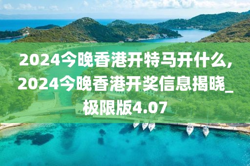 2024今晚香港开特马开什么,2024今晚香港开奖信息揭晓_极限版4.07