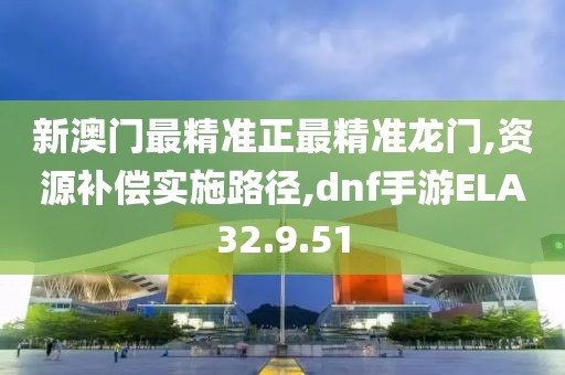 新澳门最精准正最精准龙门,资源补偿实施路径,dnf手游ELA32.9.51