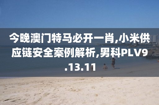 今晚澳门特马必开一肖,小米供应链安全案例解析,男科PLV9.13.11