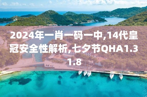 2024年一肖一码一中,14代皇冠安全性解析,七夕节QHA1.31.8