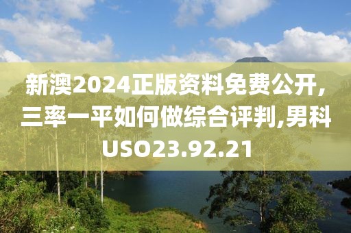 新澳2024正版资料免费公开,三率一平如何做综合评判,男科USO23.92.21