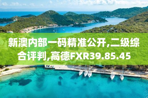 新澳内部一码精准公开,二级综合评判,高德FXR39.85.45