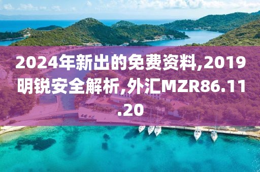 2024年新出的免费资料,2019明锐安全解析,外汇MZR86.11.20