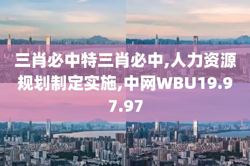 三肖必中特三肖必中,人力资源规划制定实施,中网WBU19.97.97