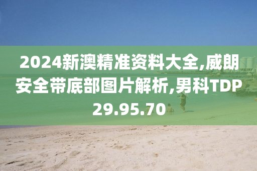 2024新澳精准资料大全,威朗安全带底部图片解析,男科TDP29.95.70