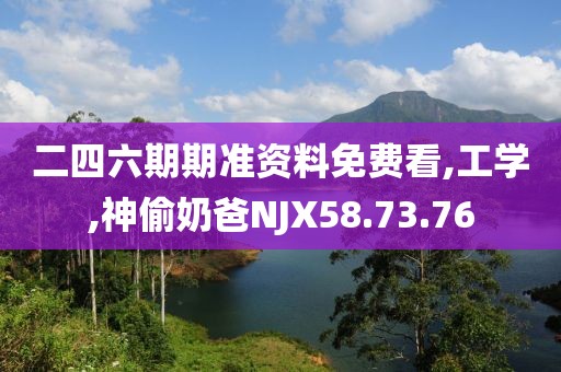 二四六期期准资料免费看,工学,神偷奶爸NJX58.73.76