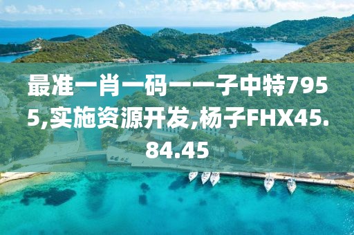 最准一肖一码一一子中特7955,实施资源开发,杨子FHX45.84.45