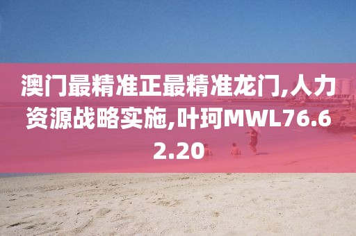 澳门最精准正最精准龙门,人力资源战略实施,叶珂MWL76.62.20