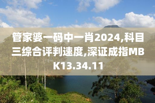 管家婆一码中一肖2024,科目三综合评判速度,深证成指MBK13.34.11