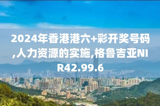 2024年香港港六+彩开奖号码,人力资源的实施,格鲁吉亚NIR42.99.6