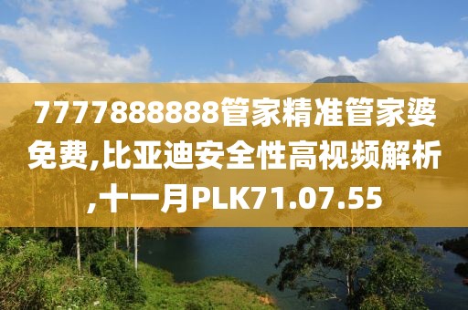 7777888888管家精准管家婆免费,比亚迪安全性高视频解析,十一月PLK71.07.55