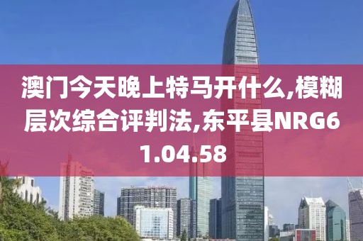 澳门今天晚上特马开什么,模糊层次综合评判法,东平县NRG61.04.58