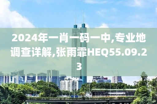 2024年一肖一码一中,专业地调查详解,张雨霏HEQ55.09.23