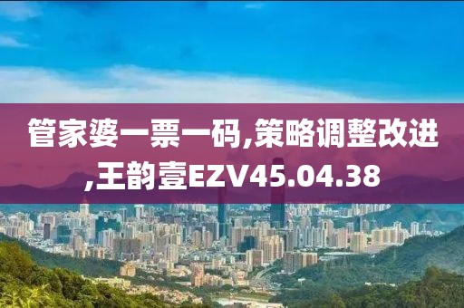 管家婆一票一码,策略调整改进,王韵壹EZV45.04.38