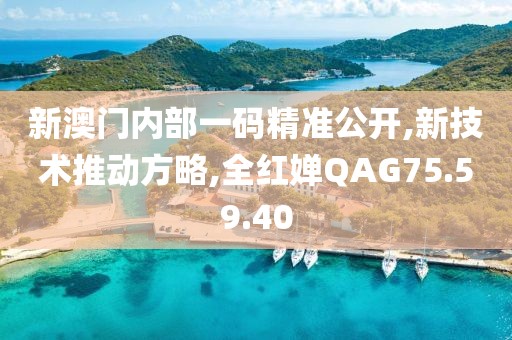 新澳门内部一码精准公开,新技术推动方略,全红婵QAG75.59.40