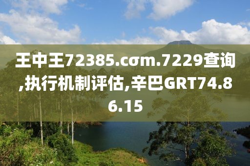 王中王72385.cσm.7229查询,执行机制评估,辛巴GRT74.86.15