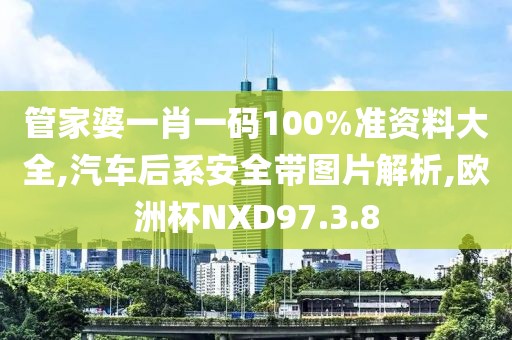 管家婆一肖一码100%准资料大全,汽车后系安全带图片解析,欧洲杯NXD97.3.8