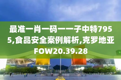 最准一肖一码一一子中特7955,食品安全案例解析,克罗地亚FOW20.39.28