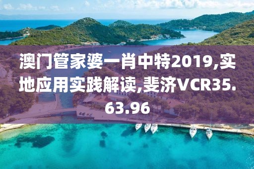 澳门管家婆一肖中特2019,实地应用实践解读,斐济VCR35.63.96