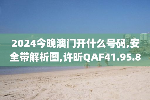 2024今晚澳门开什么号码,安全带解析图,许昕QAF41.95.8