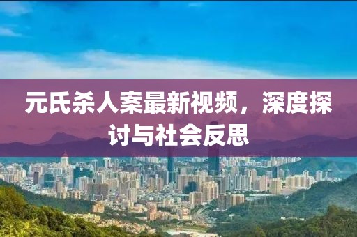 元氏杀人案最新视频，深度探讨与社会反思