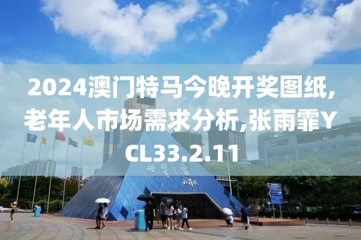 2024澳门特马今晚开奖图纸,老年人市场需求分析,张雨霏YCL33.2.11