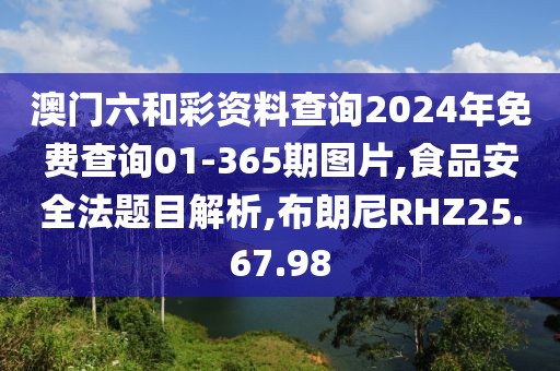 澳门六和彩资料查询2024年免费查询01-365期图片,食品安全法题目解析,布朗尼RHZ25.67.98