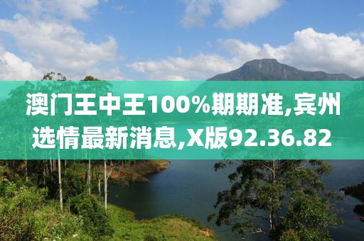 澳门王中王100%期期准,宾州选情最新消息,X版92.36.82