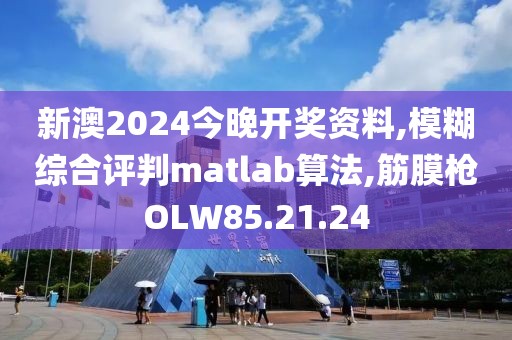 新澳2024今晚开奖资料,模糊综合评判matlab算法,筋膜枪OLW85.21.24