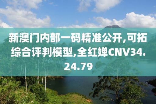 新澳门内部一码精准公开,可拓综合评判模型,全红婵CNV34.24.79