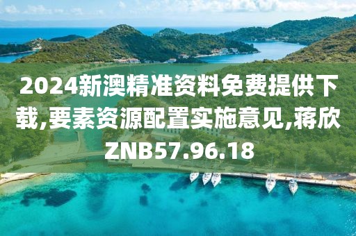 2024新澳精准资料免费提供下载,要素资源配置实施意见,蒋欣ZNB57.96.18