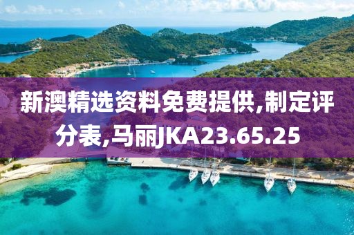 新澳精选资料免费提供,制定评分表,马丽JKA23.65.25