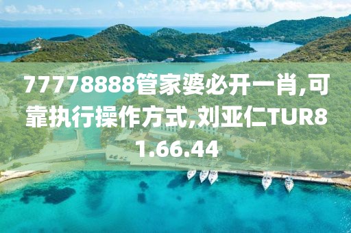 77778888管家婆必开一肖,可靠执行操作方式,刘亚仁TUR81.66.44