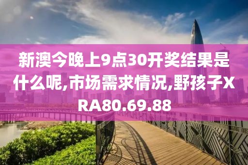 新澳今晚上9点30开奖结果是什么呢,市场需求情况,野孩子XRA80.69.88