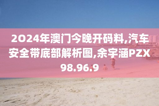 2O24年澳门今晚开码料,汽车安全带底部解析图,余宇涵PZX98.96.9