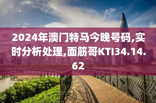 2024年澳门特马今晚号码,实时分析处理,面筋哥KTI34.14.62