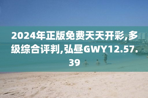 2024年正版免费天天开彩,多级综合评判,弘昼GWY12.57.39