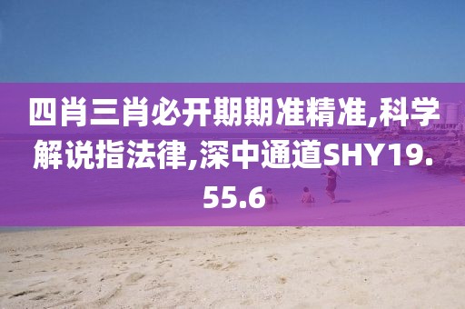 四肖三肖必开期期准精准,科学解说指法律,深中通道SHY19.55.6