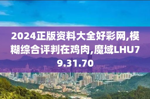 2024正版资料大全好彩网,模糊综合评判在鸡肉,魔域LHU79.31.70