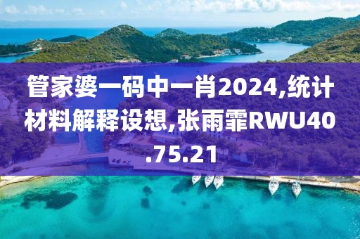 管家婆一码中一肖2024,统计材料解释设想,张雨霏RWU40.75.21